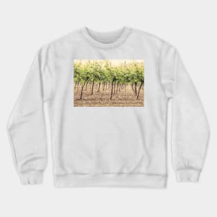 Vineyard Crewneck Sweatshirt